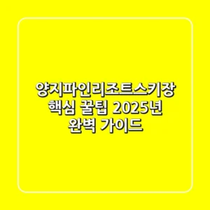 양지파인리조트스키장 핵심 꿀팁: 2025년 완벽 가이드
