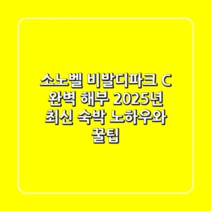 소노벨 비발디파크 C 완벽 해부: 2025년 최신 숙박 노하우와 꿀팁