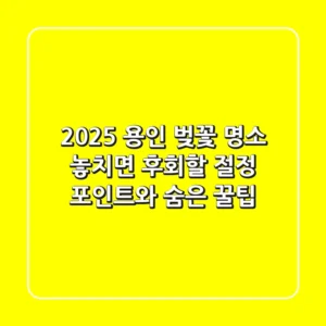 2025 용인 벚꽃 명소: 놓치면 후회할 절정 포인트와 숨은 꿀팁