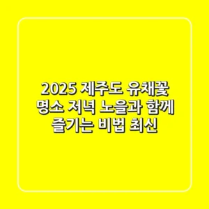 2025 제주도 유채꽃 명소, 저녁 노을과 함께 즐기는 비법 (최신)
