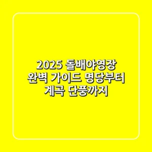2025 돌배야영장 완벽 가이드: 명당부터 계곡, 단풍까지!