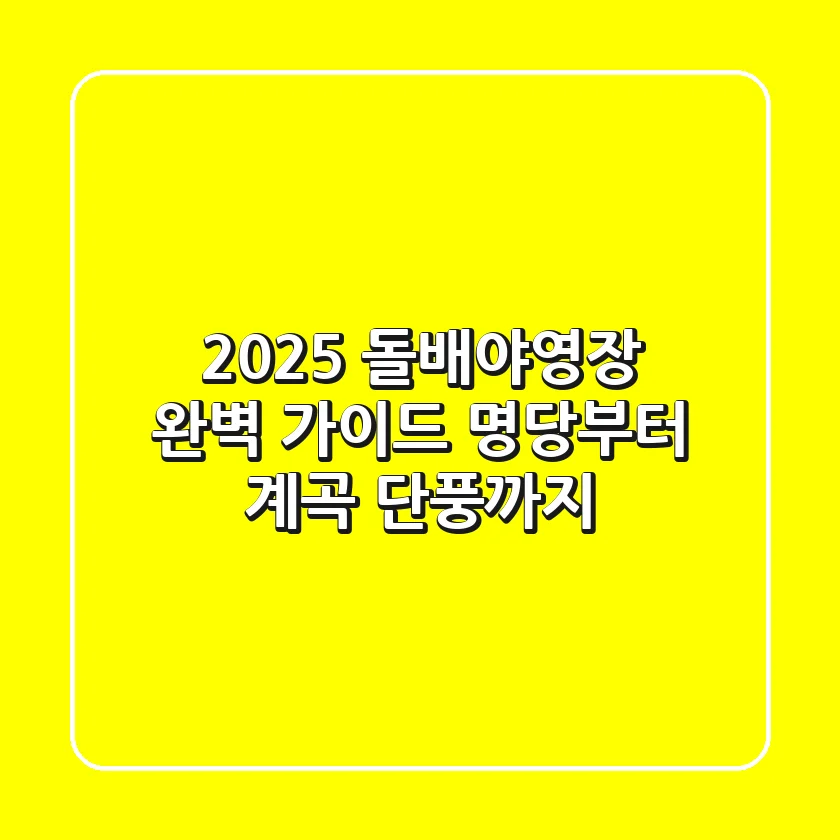 2025 돌배야영장 완벽 가이드: 명당부터 계곡, 단풍까지!