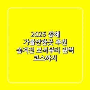 2025 동해 가볼만한곳 추천: 숨겨진 보석부터 완벽 코스까지!