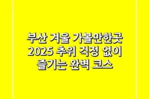 부산 겨울 가볼만한곳 2025: 추위 걱정 없이 즐기는 완벽 코스!