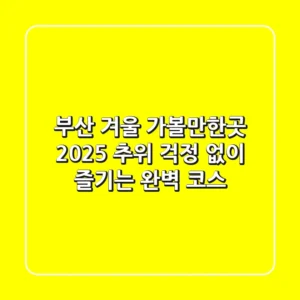 부산 겨울 가볼만한곳 2025: 추위 걱정 없이 즐기는 완벽 코스!