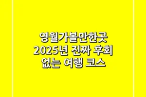 영월가볼만한곳, 2025년 진짜 후회 없는 여행 코스