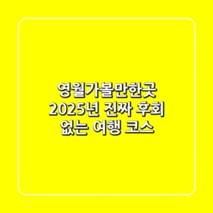 영월가볼만한곳, 2025년 진짜 후회 없는 여행 코스