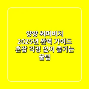 양양 써피비치 2025년 완벽 가이드: 혼잡 걱정 없이 즐기는 꿀팁