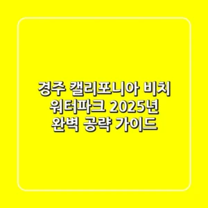 경주 캘리포니아 비치 워터파크, 2025년 완벽 공략 가이드!