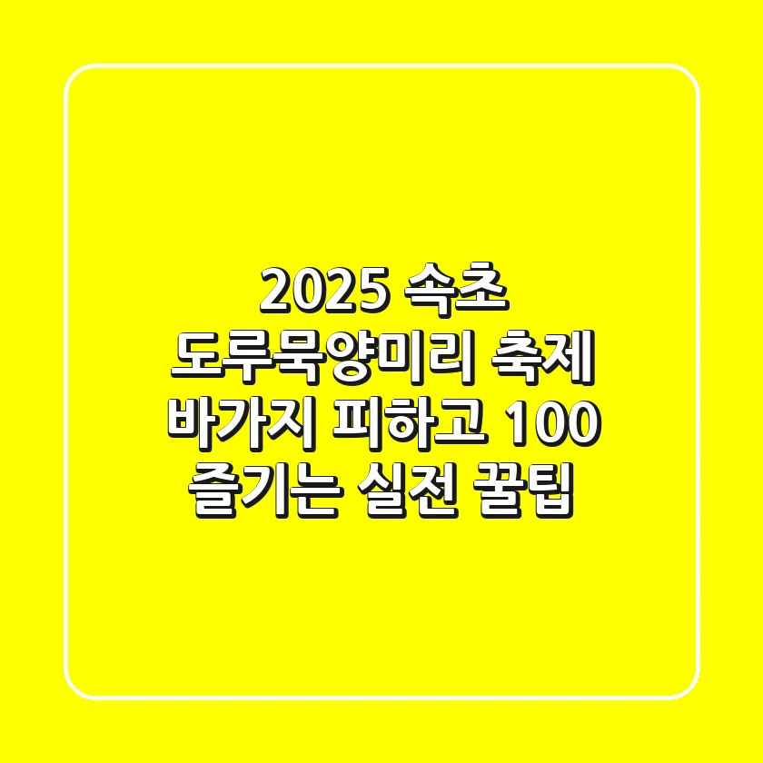 2025 속초 도루묵·양미리 축제, 바가지 피하고 100% 즐기는 실전 꿀팁!