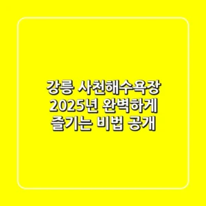 강릉 사천해수욕장, 2025년 완벽하게 즐기는 비법 공개