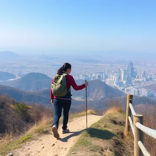 내게 맞는 강원도 등산 코스 찾기: 초보부터 숙련자까지