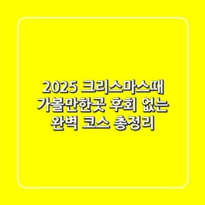 2025 크리스마스때 가볼만한곳, 후회 없는 완벽 코스 총정리