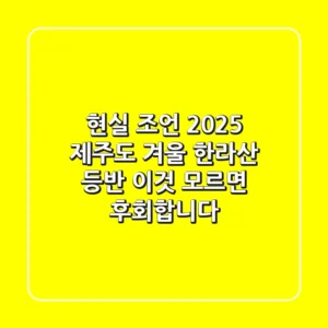 현실 조언: 2025 제주도 겨울 한라산 등반, 이것 모르면 후회합니다!