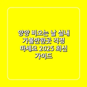 양양 비오는 날, 실내 가볼만한곳? 걱정 마세요! 2025 최신 가이드