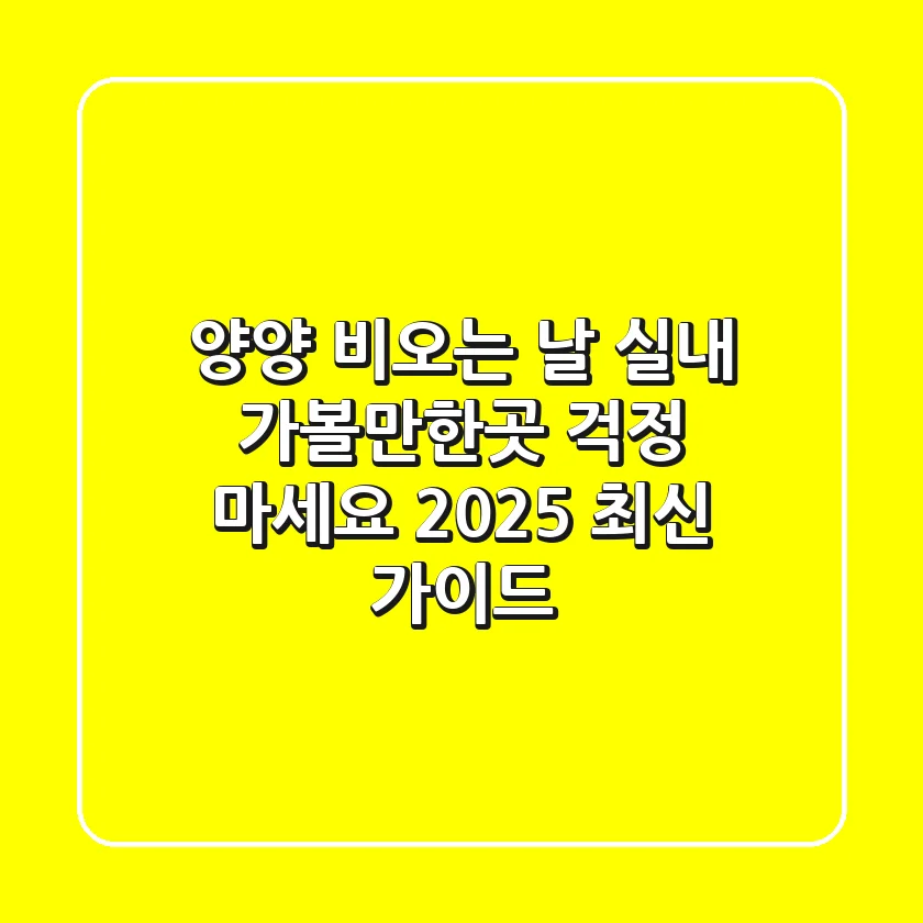 양양 비오는 날, 실내 가볼만한곳? 걱정 마세요! 2025 최신 가이드