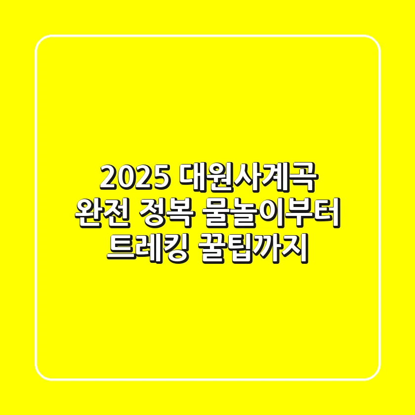 2025 대원사계곡 완전 정복: 물놀이부터 트레킹 꿀팁까지!