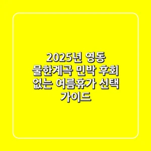 2025년 영동 물한계곡 민박, 후회 없는 여름휴가 선택 가이드