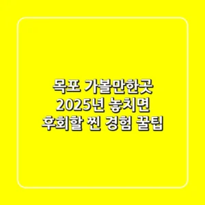 목포 가볼만한곳, 2025년 놓치면 후회할 '찐' 경험 꿀팁