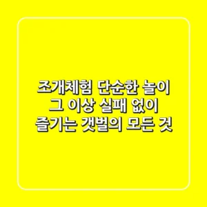 조개체험, 단순한 놀이 그 이상! 실패 없이 즐기는 갯벌의 모든 것