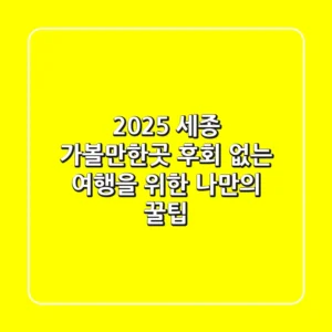 2025 세종 가볼만한곳, 후회 없는 여행을 위한 나만의 꿀팁