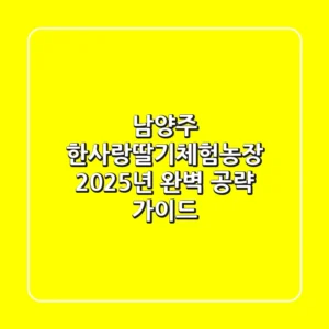 남양주 한사랑딸기체험농장, 2025년 완벽 공략 가이드!