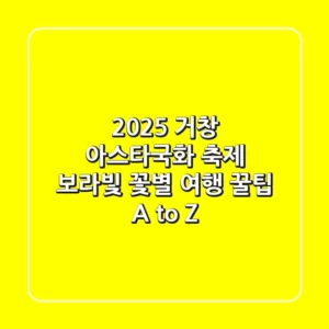 2025 거창 아스타국화 축제: 보라빛 꽃&별 여행 꿀팁 A to Z