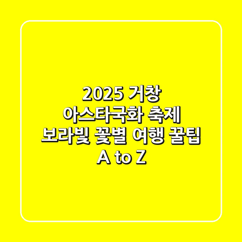 2025 거창 아스타국화 축제: 보라빛 꽃&별 여행 꿀팁 A to Z