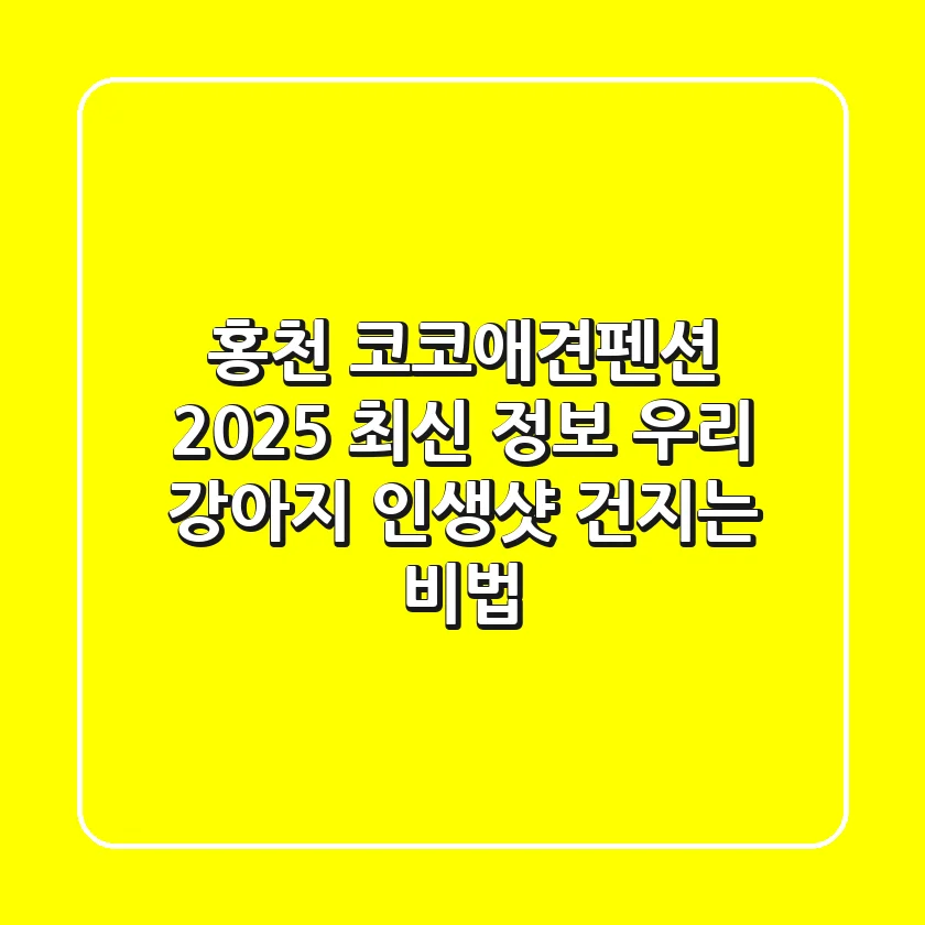 홍천 코코애견펜션 2025 최신 정보: 우리 강아지 인생샷 건지는 비법!