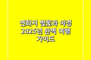 연화지 벚꽃과 야경, 2025년 완벽 여행 가이드