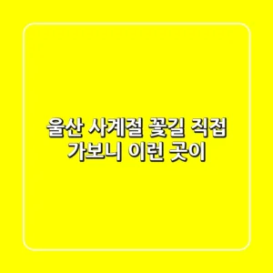 울산 사계절 꽃길, 직접 가보니 이런 곳이!