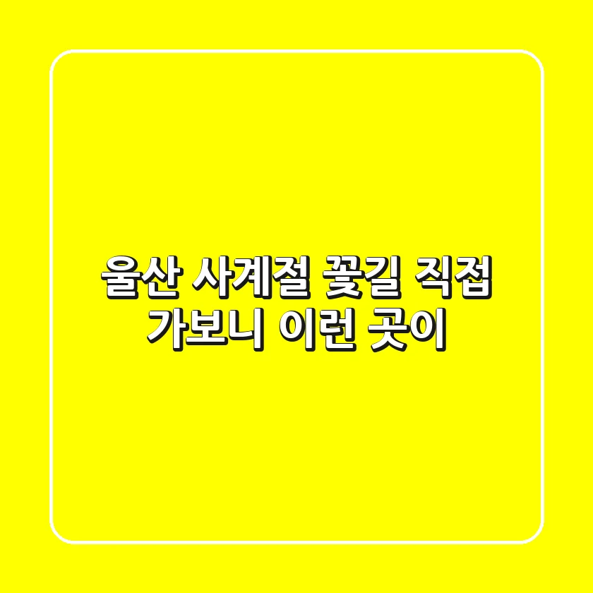 울산 사계절 꽃길, 직접 가보니 이런 곳이!