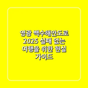 영광 백수해안도로 2025: 실패 없는 여행을 위한 현실 가이드