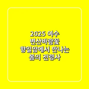 2025 여수 변산바람꽃, 향일암에서 만나는 봄의 전령사