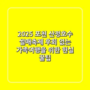 2025 포천 산정호수 썰매축제: 후회 없는 가족여행을 위한 현실 꿀팁!