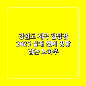 강원도 계곡 캠핑장 2025: 실패 없이 명당 잡는 노하우