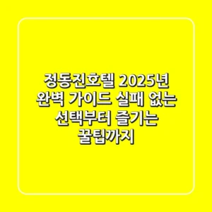 정동진호텔 2025년 완벽 가이드: 실패 없는 선택부터 즐기는 꿀팁까지!