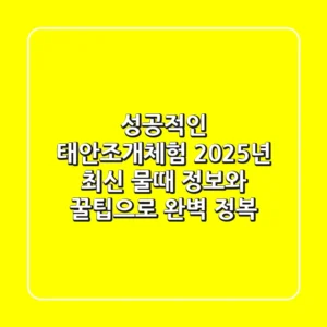 성공적인 태안조개체험, 2025년 최신 물때 정보와 꿀팁으로 완벽 정복!