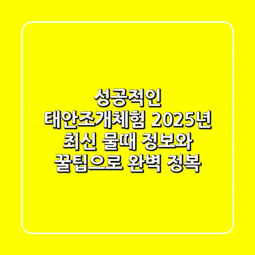성공적인 태안조개체험, 2025년 최신 물때 정보와 꿀팁으로 완벽 정복!