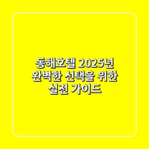 동해호텔, 2025년 완벽한 선택을 위한 실전 가이드
