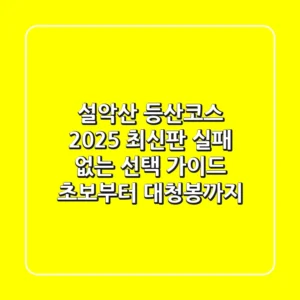 설악산 등산코스 2025 최신판: 실패 없는 선택 가이드 (초보부터 대청봉까지)