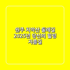 원주 치악산 둘레길, 2025년 당신의 힐링 지름길
