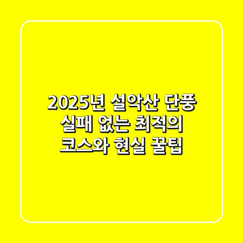 2025년 설악산 단풍, 실패 없는 최적의 코스와 현실 꿀팁!