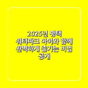 2025년 평택 워터파크, 아이와 함께 완벽하게 즐기는 비법 공개!