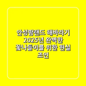 안성팜랜드 해바라기, 2025년 완벽한 꽃나들이를 위한 현실 조언