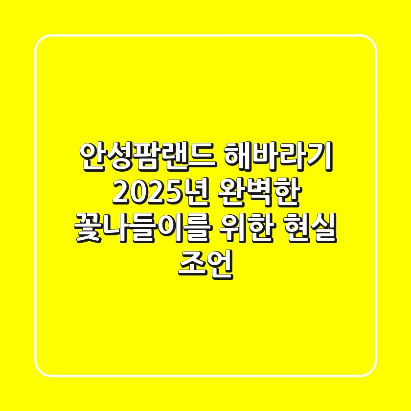 안성팜랜드 해바라기, 2025년 완벽한 꽃나들이를 위한 현실 조언