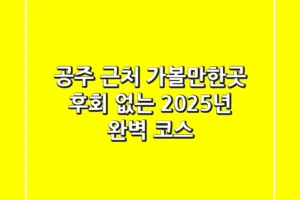 공주 근처 가볼만한곳, 후회 없는 2025년 완벽 코스