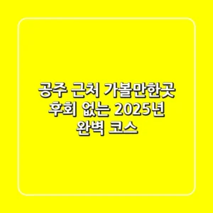 공주 근처 가볼만한곳, 후회 없는 2025년 완벽 코스