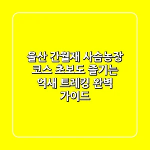 울산 간월재 사슴농장 코스: 초보도 즐기는 억새 트레킹 완벽 가이드