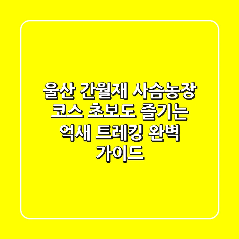 울산 간월재 사슴농장 코스: 초보도 즐기는 억새 트레킹 완벽 가이드